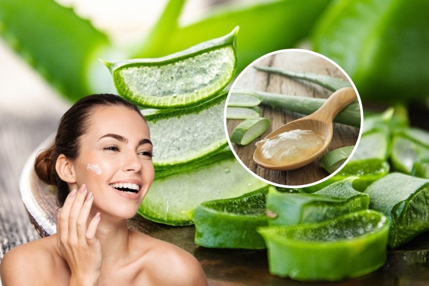 Cách chăm sóc da mặt khô tại nhà với nha đam