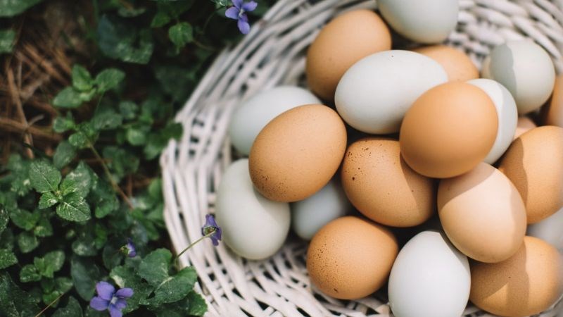 Trứng gà cái thiện mức độ cholesterol tốt trong cơ thể