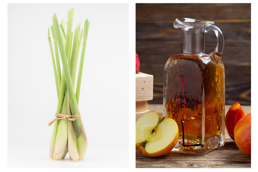 Cách làm tinh dầu sả giúp dưỡng tóc bóng mượt