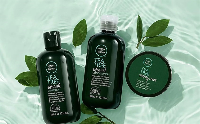 Dầu gội trị gàu, kháng khuẩn Tea Tree Special