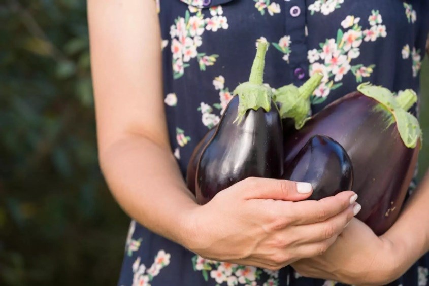 Bà bầu ăn cà tím giúp kiểm soát huyết áp Bà bầu ăn cà tím giúp kiểm soát huyết áp