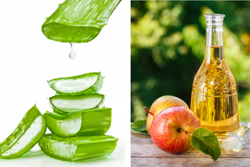 Cách làm tinh dầu nha đam đơn giản nhất