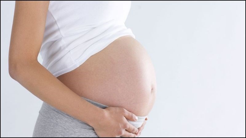 Phụ nữ trong thời kỳ mang thai không được sử dụng lá dương xỉ