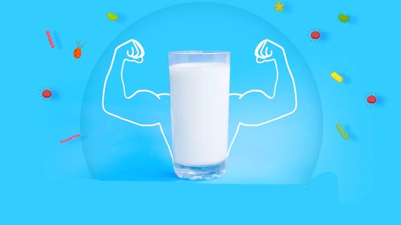 Sữa không đường khuyến khích hệ miễn dịch.