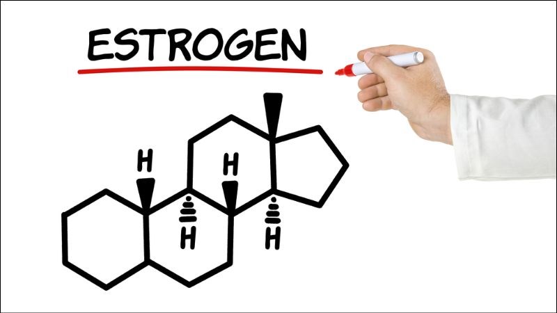 Giảm nồng độ estrogen sau sinh dẫn đến hiện tượng rụng tóc nhiều