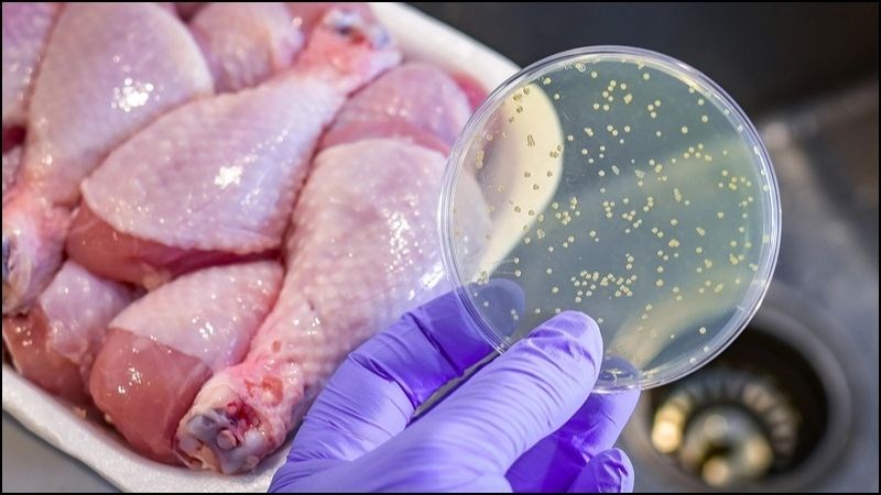 Tiêu thụ thức ăn bị nhiễm khuẩn là nguyên nhân gây bệnh cảm thương hàn Tiêu thụ thức ăn bị nhiễm khuẩn là nguyên nhân gây bệnh cảm thương hàn