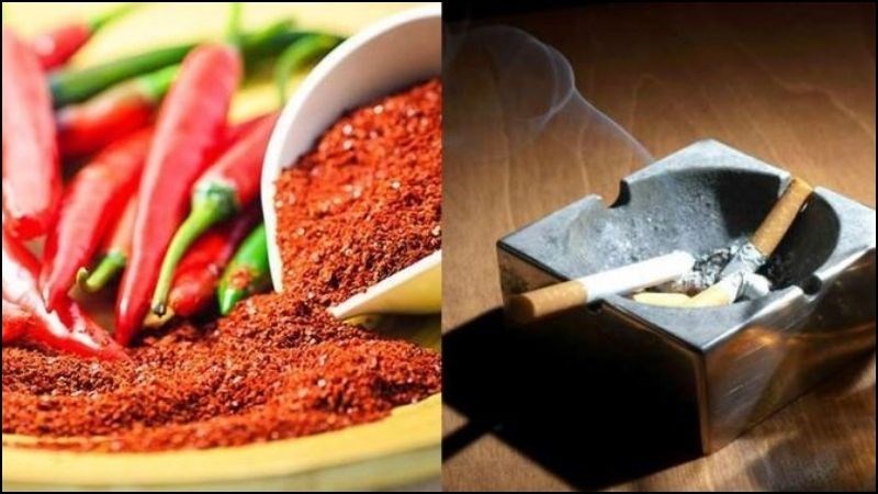 Tránh ăn quá nhiều đồ cay nóng, rượu, bia, thuốc lá,... Tránh ăn quá nhiều đồ cay nóng, rượu, bia, thuốc lá,...