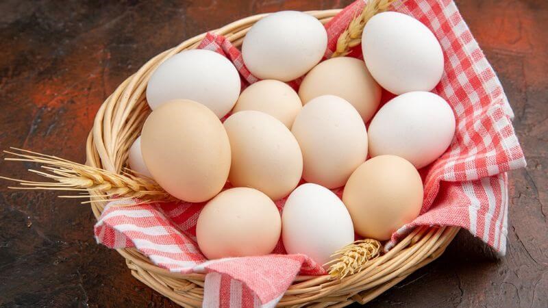 Trứng giúp tăng khả năng sinh sản