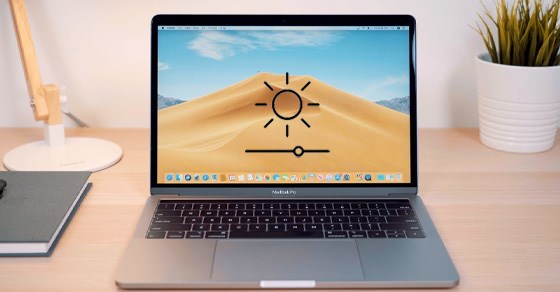 Hãy kiểm tra lại độ sáng vì có thể MacBook của bạn đang cài đặt mức sáng thấp nhất.