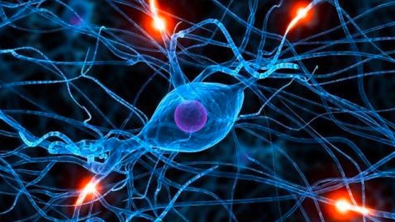 Khi bạn trám răng, có thể xảy ra tình trạng đau nhức hoặc viêm dây thần kinh