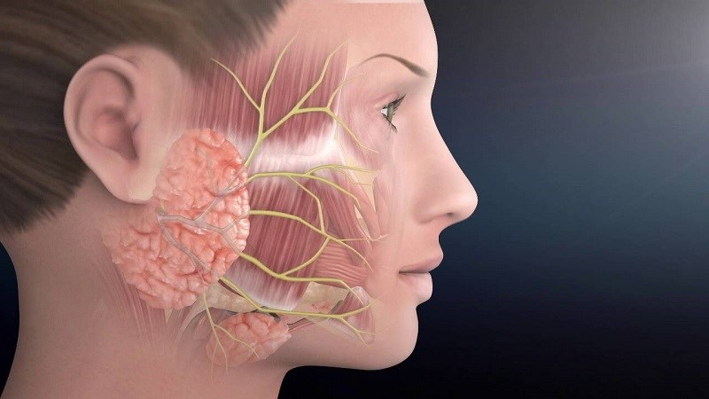 Liệt dây thần kinh số III có thể dẫn đến sụp mí 