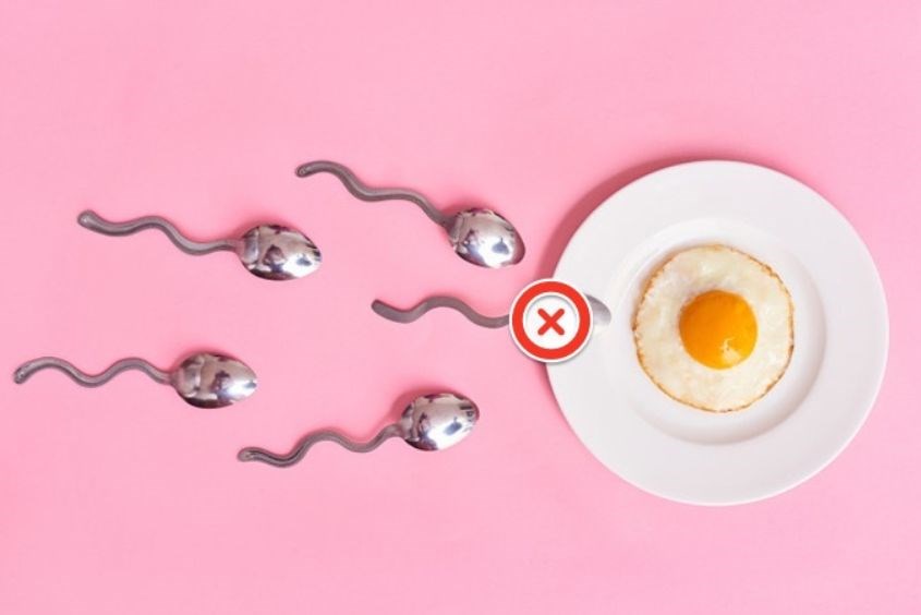 Thuốc tránh thai sẽ giúp ngăn chặn sự thụ tinh giữa trứng và tinh trùng Thuốc tránh thai sẽ giúp ngăn chặn sự thụ tinh giữa trứng và tinh trùng