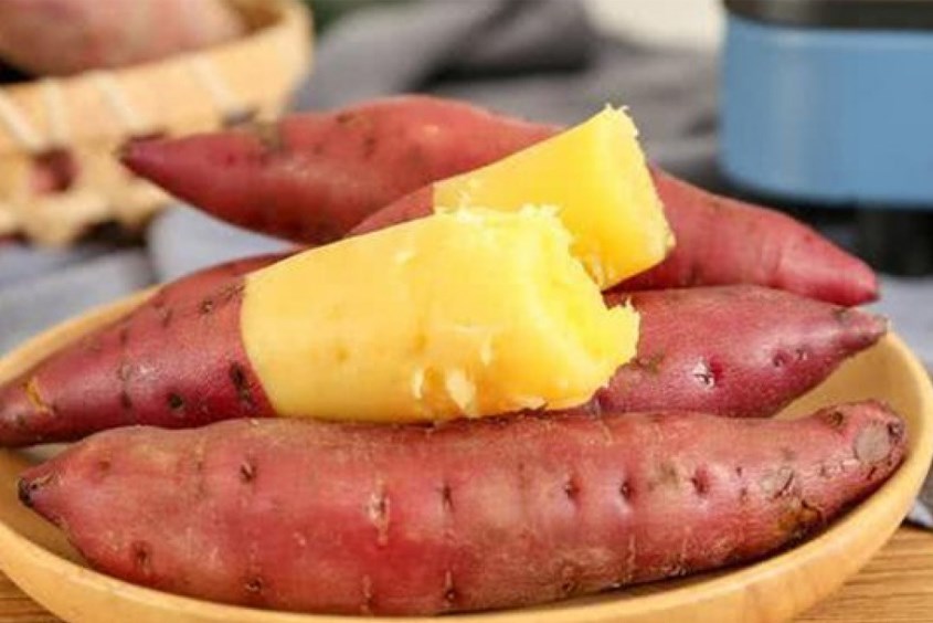 Trong khoai lang chứa rất nhiều chất dinh dưỡng