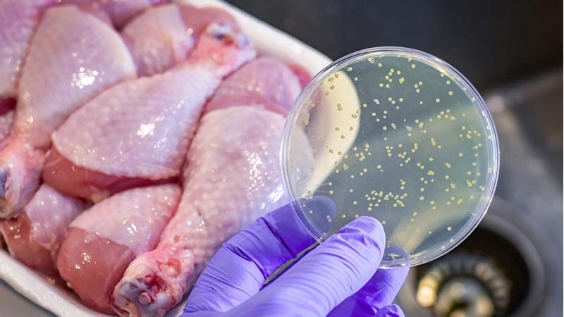 Ăn phải thực phẩm có vệ sinh kém là nguyên nhân gây bệnh kiết lỵ Ăn phải thực phẩm có vệ sinh kém là nguyên nhân gây bệnh kiết lỵ