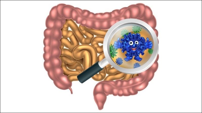 Tiêu chảy có thể do ăn thực phẩm bị nhiễm khuẩn, nhiễm virus