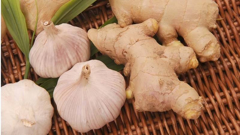 Bổ sung tỏi, gừng vào bữa ăn hằng ngày giúp hỗ trợ điều trị viêm loét đại tràng.