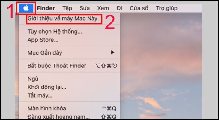 Bạn hãy nhấp vào Giới thiệu về máy Mac này (About This Mac)
