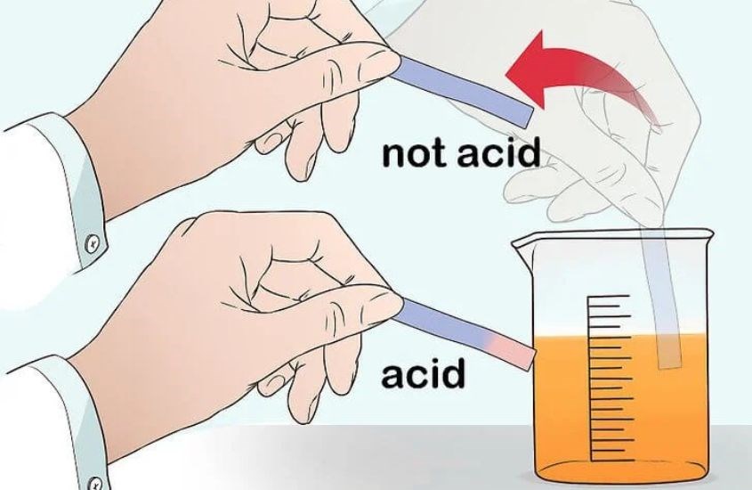 Sử dụng quỳ tím để xác định độ pH