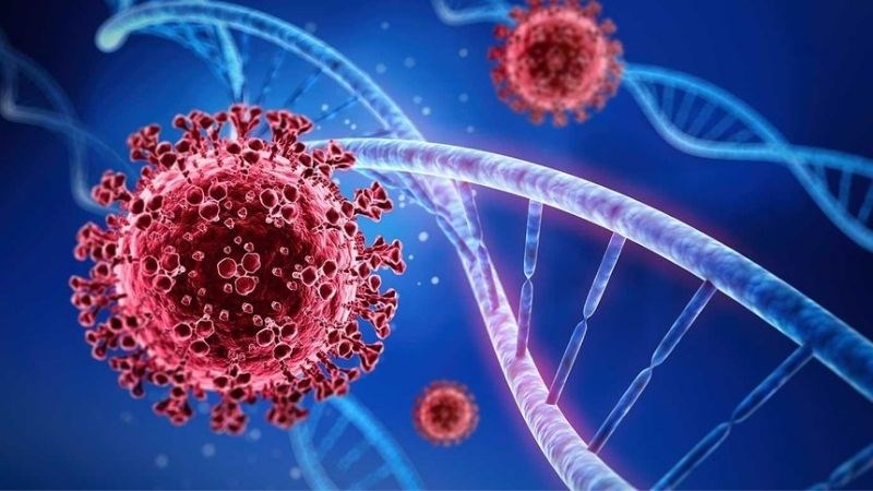 Xông hơi giúp trị cảm cúm và các bệnh liên quan đến đường hô hấp 