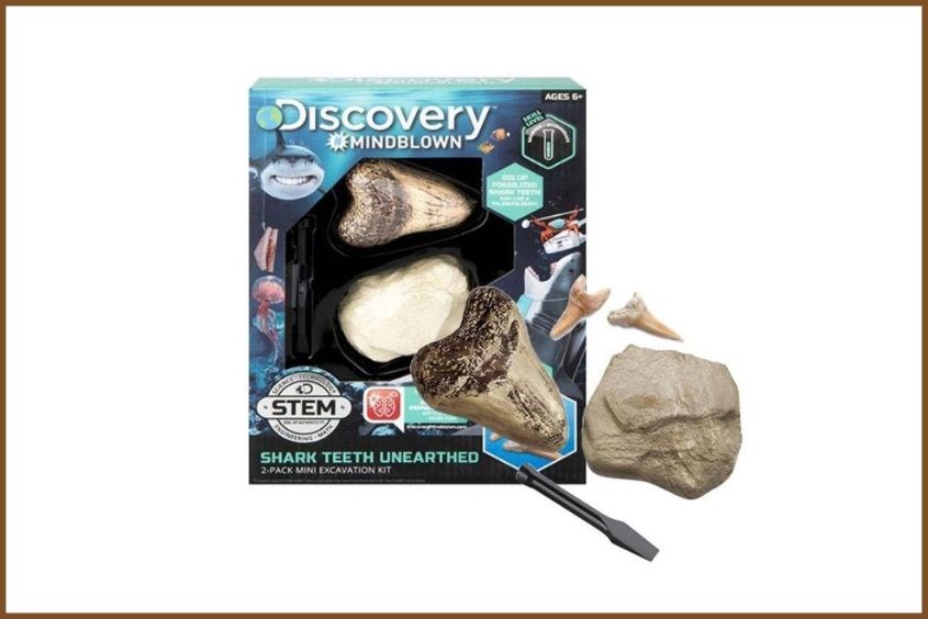 Bộ khảo cổ truy tìm răng cá mập làm quà 1/6 cho bé trai giúp kích thích khả năng khám phá hiệu quả Bộ khảo cổ truy tìm răng cá mập làm quà 1/6 cho bé trai cực kỳ hấp dẫn