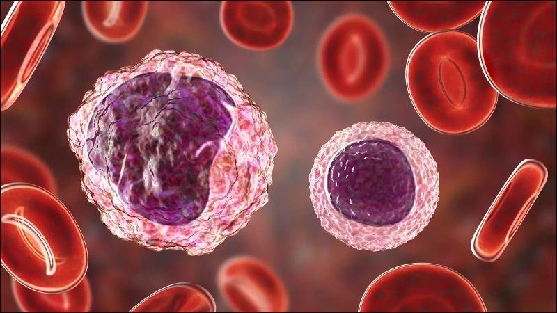 Tế bào lympho B đặc hiệu tồn tại khá bền vững sau mắc COVID-19