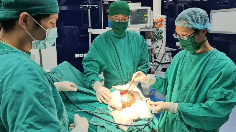 Phẫu thuật được chỉ định để loại bỏ đoạn thần kinh bị đau