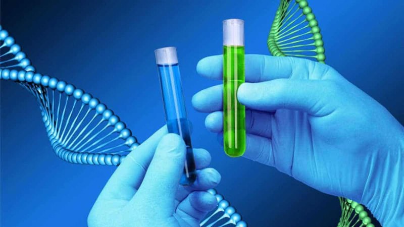 Test PCR là kỹ thuật khuếch đại đoạn DNA 