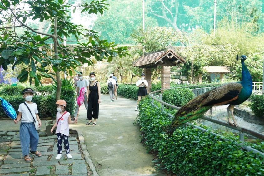 Thảo Cầm Viên là điểm vui chơi 1/6 TPHCM nhộn nhịp nhất Thảo Cầm Viên là điểm vui chơi 1/6 TPHCM nhộn nhịp nhất