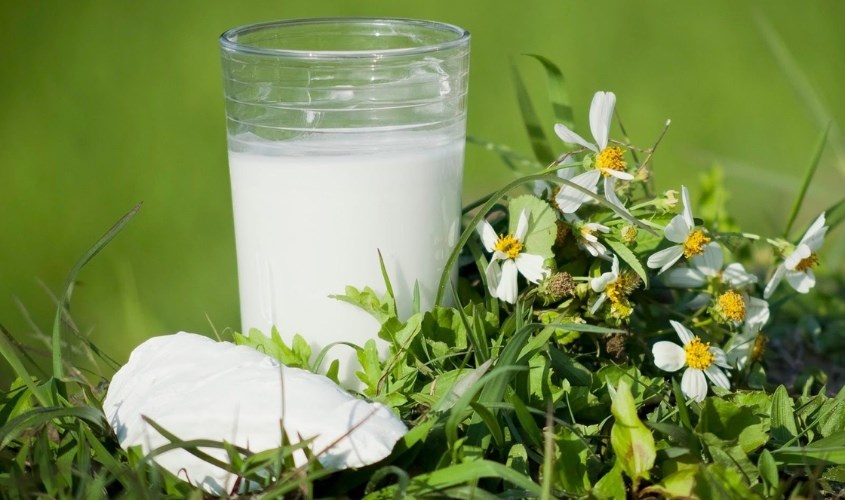 Nước sắn dây giúp làm giảm cơn khát trong ngày hè