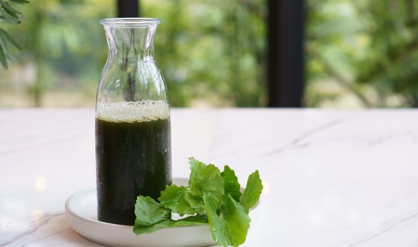 Nước rau mát là sự lựa chọn giải khát tuyệt vời cho ngày hè