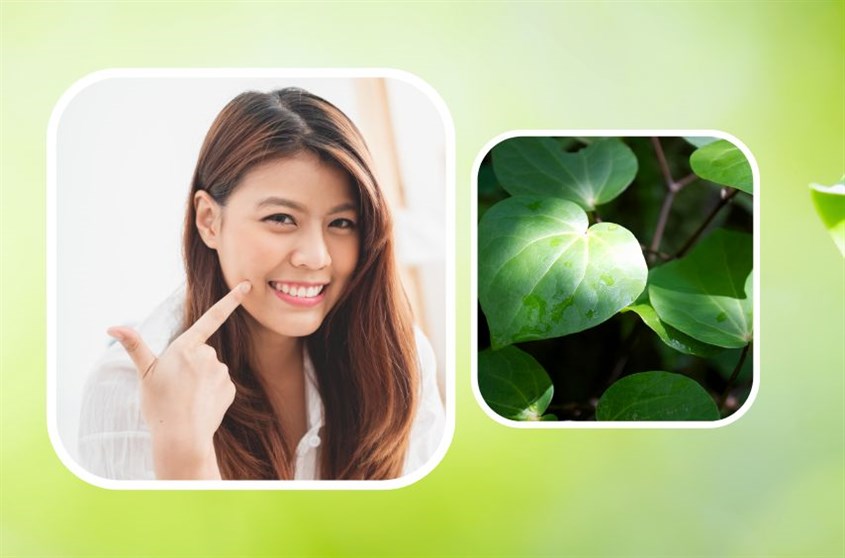 Cách làm mặt nạ lá lốt giúp ngăn ngừa mụn