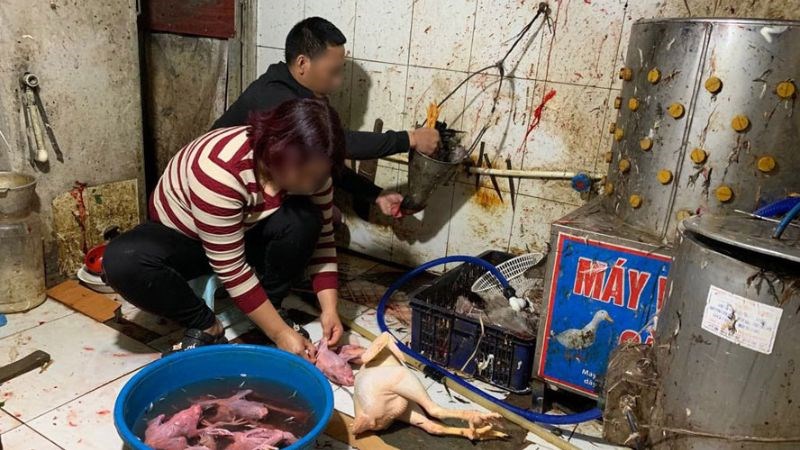 Quá trình chế biến không đảm bảo vệ sinh làm thực phẩm bị nhiễm khuẩn