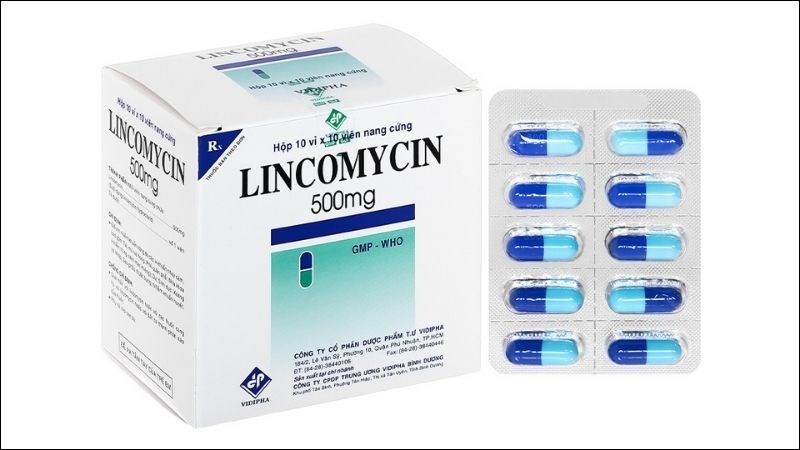 Lincomycin Vidipha 500mg trị nhiễm khuẩn