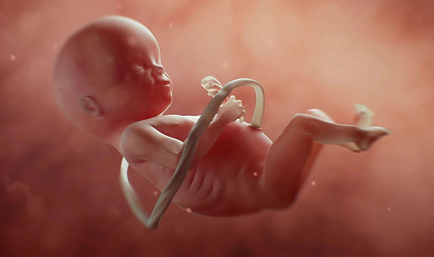 Thai nhi trong bụng mẹ ở tuần thứ 14 Thai nhi 14 tuần tuổi phát triển trong bụng mẹ như thế nào