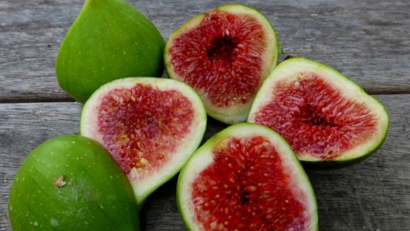 Nên lấy sung tươi chứa nhiều mủ để đạt được hiệu quả cao nhất