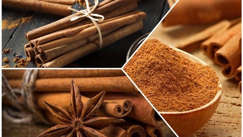 Quế thúc đẩy sản xuất collagen giúp nhanh lành tổn thương