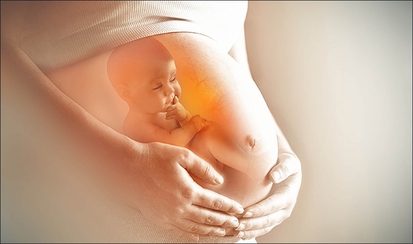 Sự phát triển của thai nhi trong bụng mẹ Thai nhi 16 tuần tuổi phát triển trong bụng mẹ như thế nào