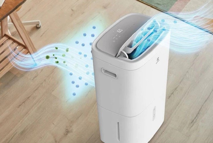 Nên sử dụng máy hút ẩm Electrolux khi bạn đang sống ở khu vực có độ ẩm cao