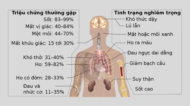 Các triệu chứng khi virus xâm nhập vào cơ thể