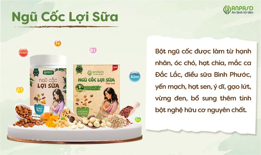 Ngũ cốc lợi sữa Anpaso