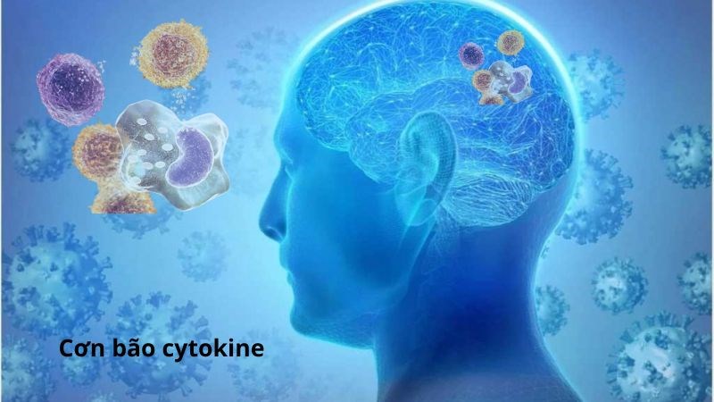 Cơn bão cytokine làm ảnh hưởng đến chức năng dẫn truyền của các tế bào não