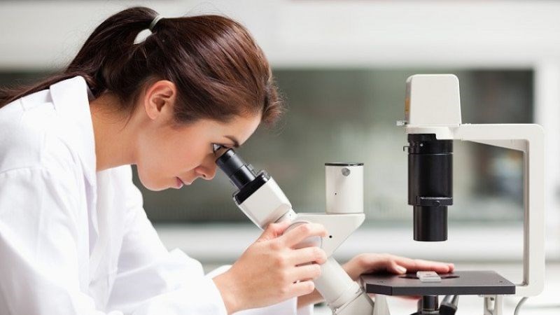 Mẫu bệnh phẩm được soi dưới kính hiển vi