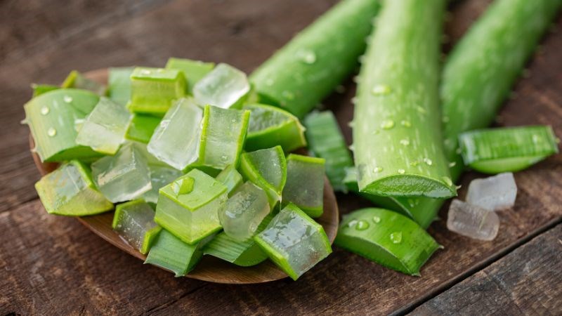 Nha đam rất tốt cho sức khỏe xương khớp