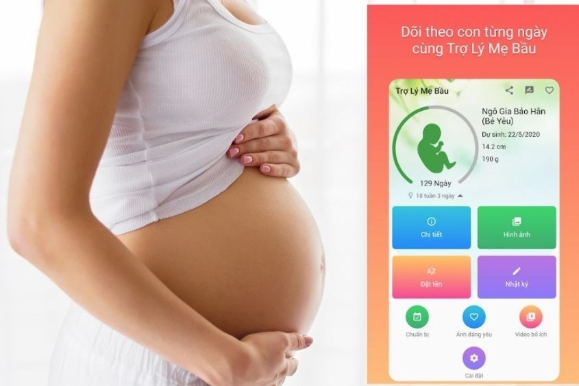 Ứng dụng trợ lý Mẹ bầu giúp mẹ theo dõi sự phát triển của bé