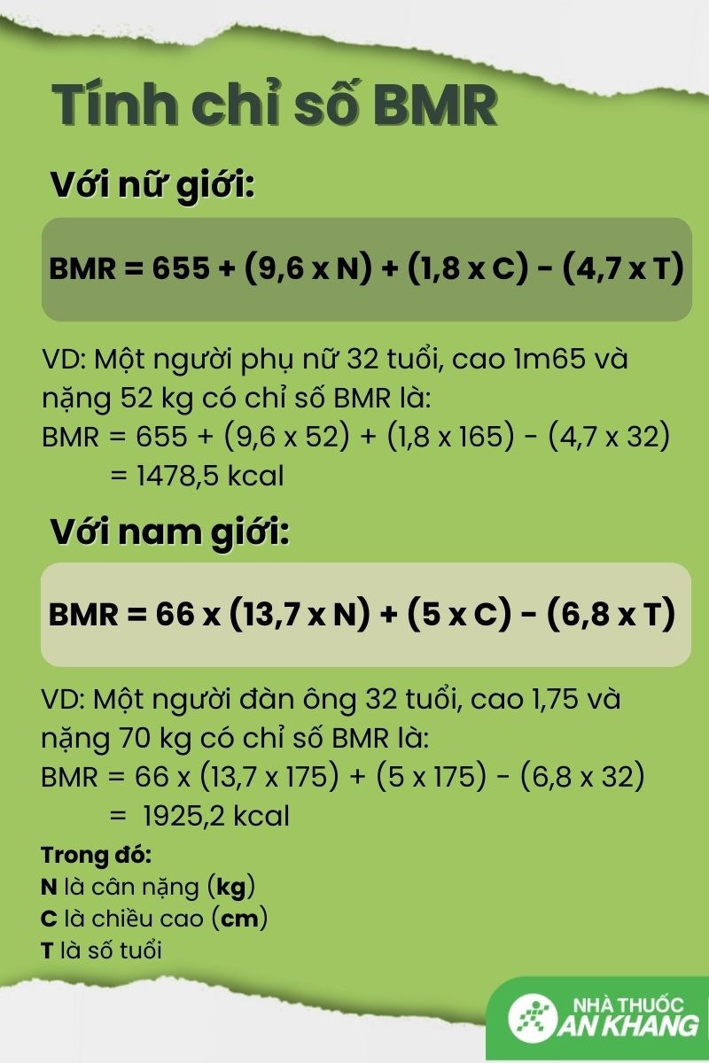 BMR là chỉ số calo cần cho các hoạt động cơ bản của cơ thể