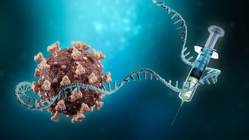 Vaccine mRNA sử dụng vật liệu di truyền nhưng không làm thay đổi ADN của bạn