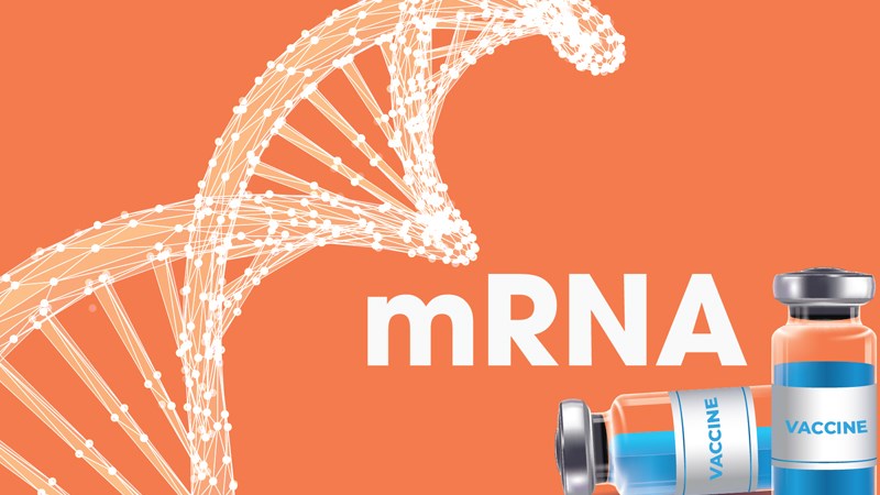 Vaccine mRNA không thể ảnh hưởng đến gen