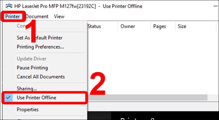 Bấm vào tab Printer và chọn Use Printer Offline