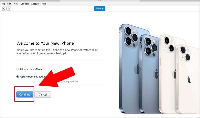 Bạn hãy nhấn Continue và chọn Password bất kỳ để backup dữ liệu