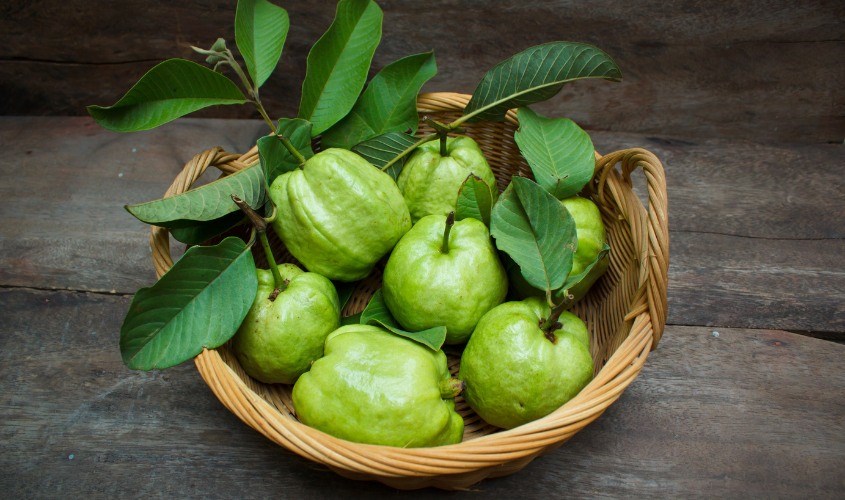 Người sau sinh ăn ổi được không